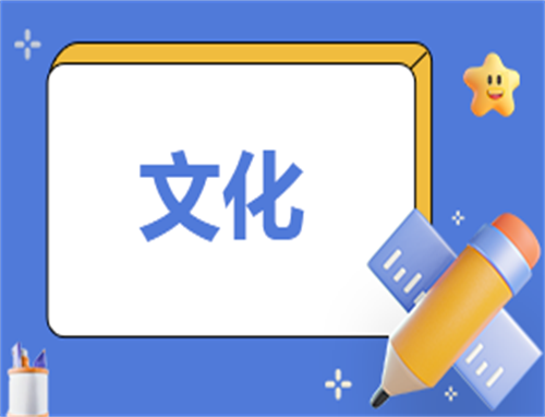 文化工作心得体会800字